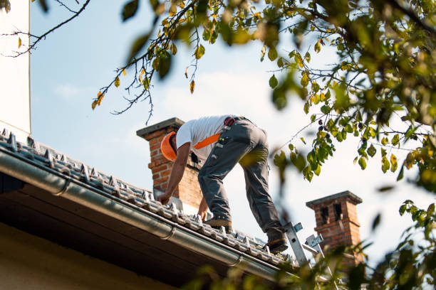 Steel Roofing in East Brady, PA